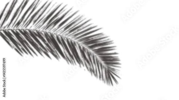 Obraz Plam leaves tree shadow transparent background