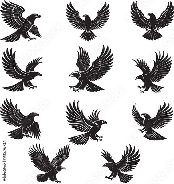 Fototapeta Eagle vector file 