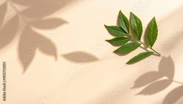 Fototapeta Captivating green leaf detail nature setting close-up photography soft background artistic perspective organic beauty