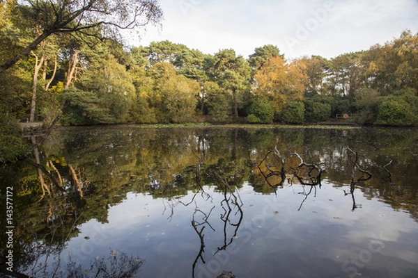 Fototapeta Roodee Mere