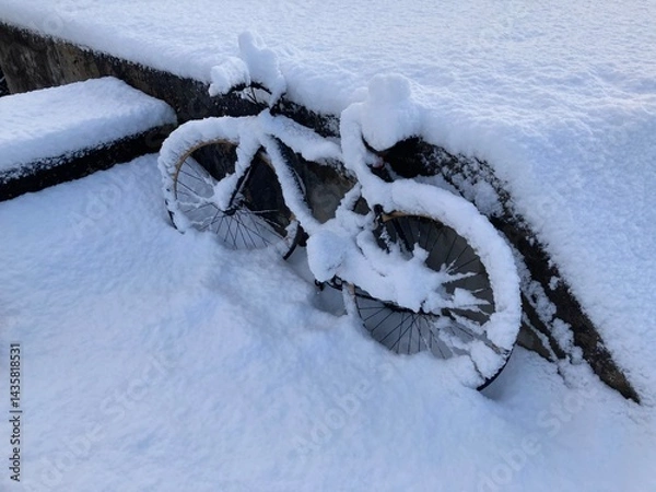 Obraz 雪の中の自転車