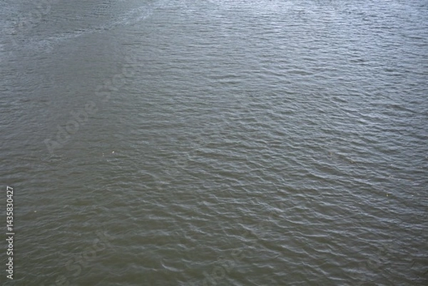 Fototapeta Water surface with small ripples in drizzle weather