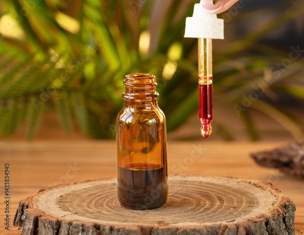 Fototapeta cosmetic ingredient Pycnogenol or Pinus pinaster in a dark bottle stands on a piece of pine bark on a green background. Serum with bark extract for the face. skin care. concept beauty industry