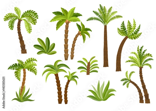 Obraz Decorative palm trees set.