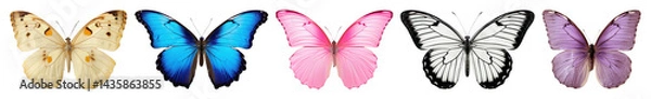 Fototapeta PNG Colorful butterflies in flight, element set on transparent background