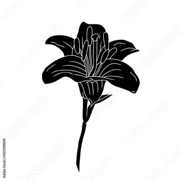 Fototapeta Hand drawn black silhouette of lily flower with stem and leaf linocut. Botanical vector illustration isolated on white.