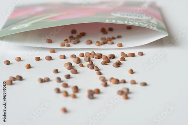 Fototapeta Sparkler Red Radish Seed Spilled from a Packet