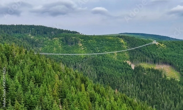 Obraz Panoramic view of the Sky Bridge 721, one of the  longest suspension footbridge in the world.