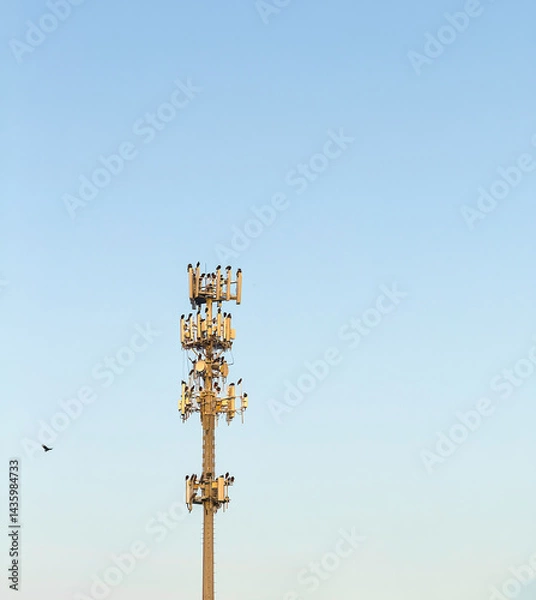 Fototapeta Flock of black birds (unidentified species) perching on a cell tower, with a single bird approaching the others, in evening sunlight. Motifs of technology, attraction, and adaptive behavior.