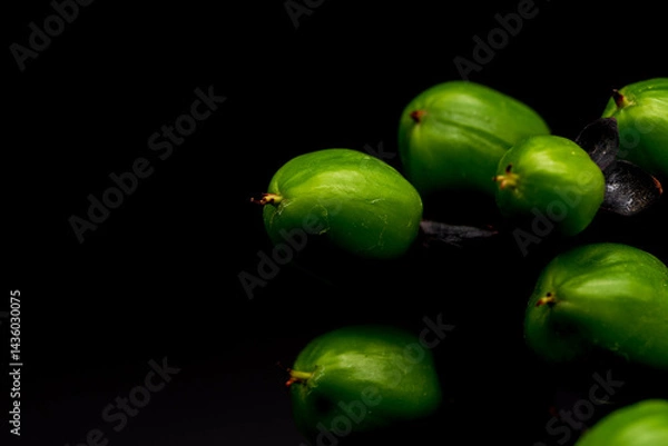 Fototapeta 緑のヒペリカムの実