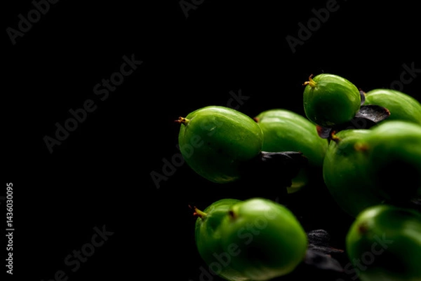 Fototapeta 緑のヒペリカムの実