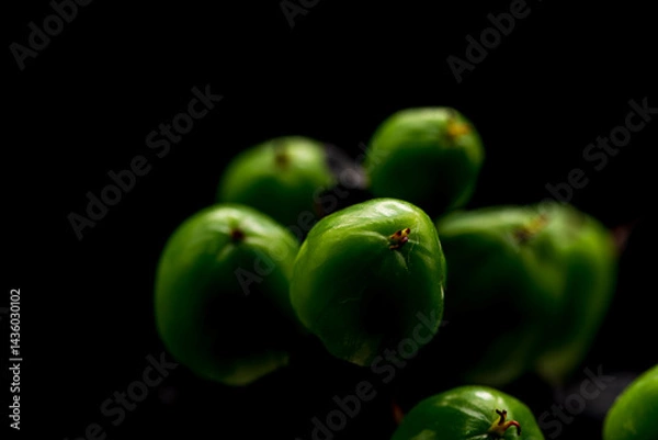 Fototapeta 緑のヒペリカムの実