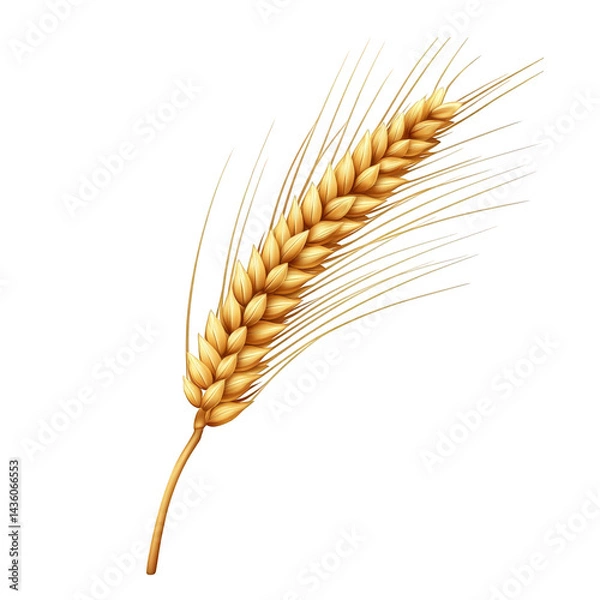 Fototapeta single golden wheat ear. showcasing the intricate details of its grains and stalk this representation highlights the importance of wheat in agriculture and food production the clean. white background