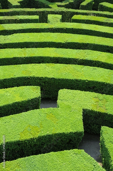 Obraz Hedges labyrinth