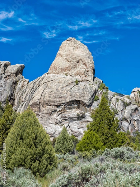 Obraz Rock formations rise above the forest at Castle Rocks State Park, Idaho, USA