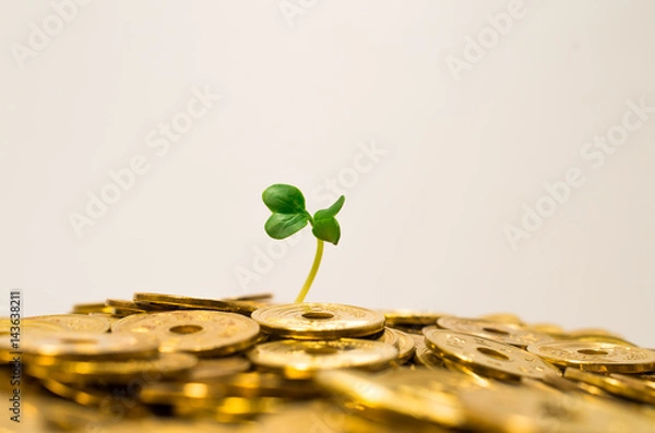 Obraz お金を産む植物。
