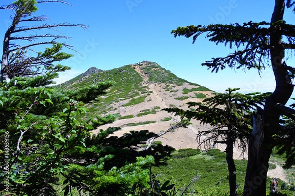 Fototapeta 夏の根石岳　八ヶ岳
