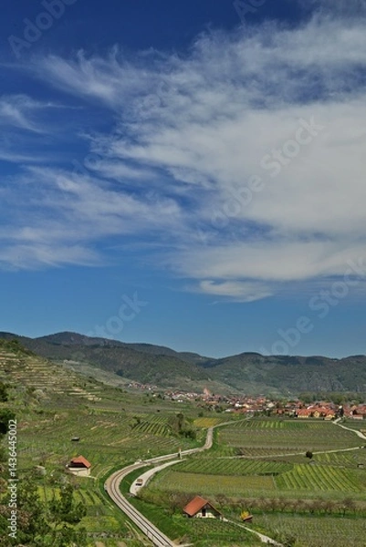 Fototapeta Weißenkirchen in der Wachau im Frühling, vertikal