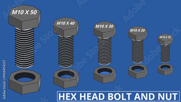 Fototapeta Different Sizes of Hex head nut and bolt isolated on a blue background.  It fastens components using a six-sided bolt head and matching nut 