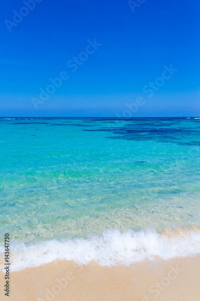 Fototapeta 土盛海岸