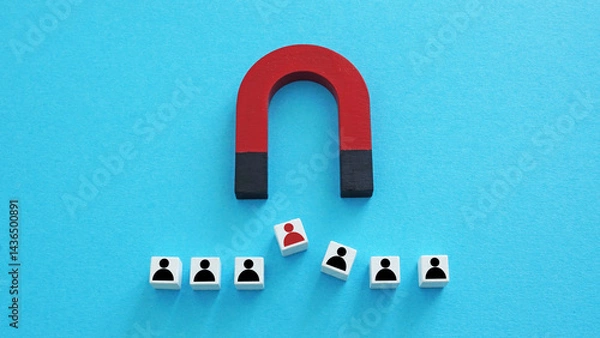 Obraz Magnet attracting a candidate for talent acquisition. Recruitment strategy.