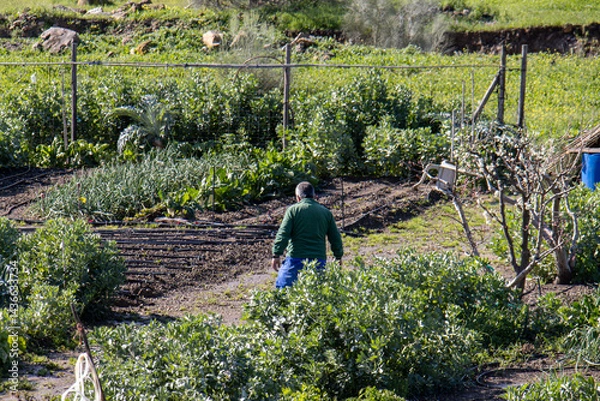 Fototapeta man working in countryside garden