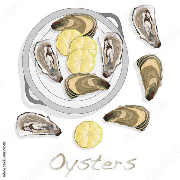 Obraz Fresh oyster image set