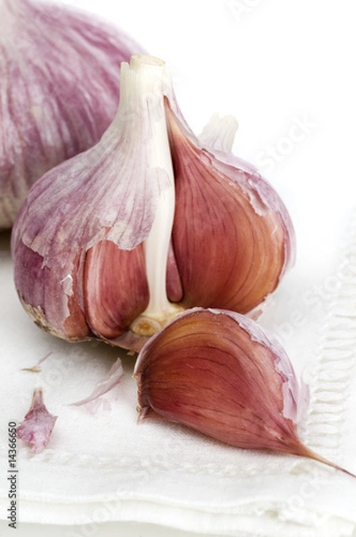 Obraz garlic