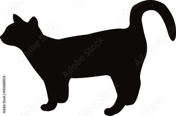 Fototapeta a cat body silhouette vector