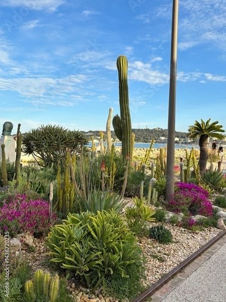 Obraz cactus in the desert, beautiful landscape, exotic trees, palm trees, cacti