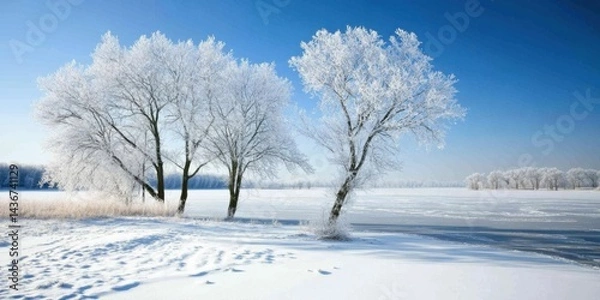 Fototapeta A Serene Winter Landscape Featuring FrostCovered Trees and a Beautiful Frozen Lake