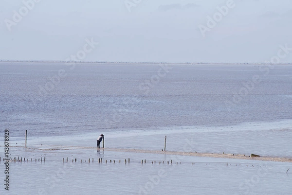 Obraz bird photographer