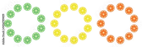 Obraz Set of round frames of citrus slice. Vector illustration
