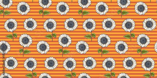 Obraz Bright retro striped seamless pattern with white sketch drawing engraved sunflowers on orange and red background. Hand drawn detailed outline sun flower print for textile, wrapping paper, surface