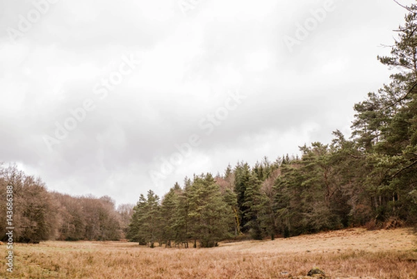 Fototapeta landscape