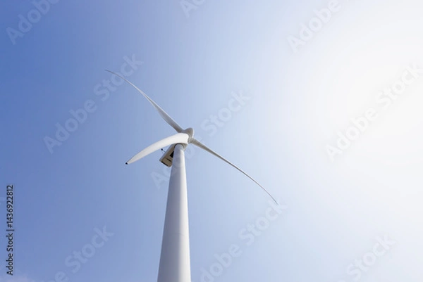 Fototapeta 青空と風力発電所の風車