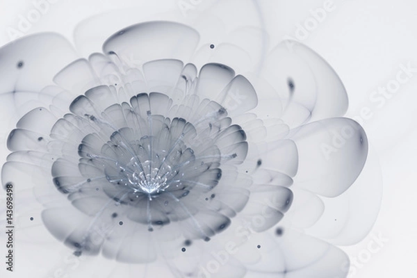 Fototapeta Abstract white background with blue grey flower in backlight texture, fractal pattern