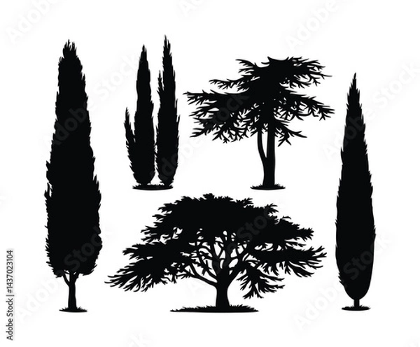 Fototapeta Cypress Tree Silhouette Vector Art on White Background
