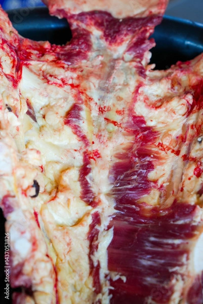 Fototapeta Fresh pork ribs, fresh pork intestines from the shop that are us