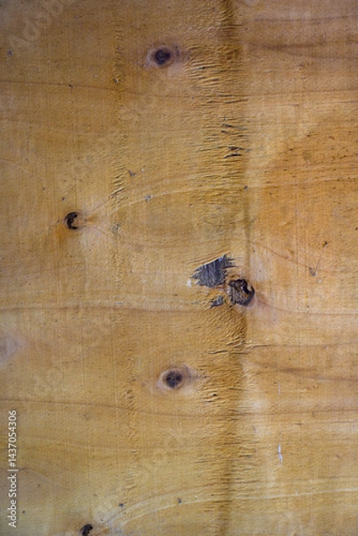 Obraz wood background