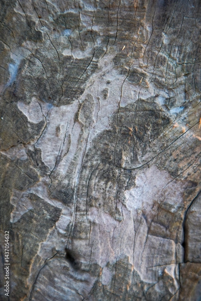 Fototapeta Macro image of close-up wood grain for the background.