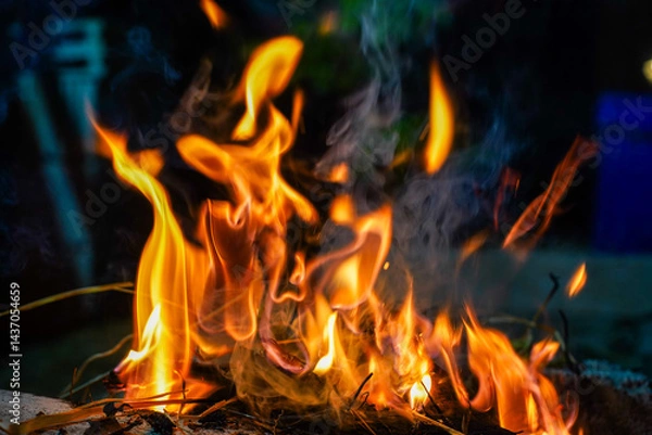 Obraz Bonfire makes fire, black background