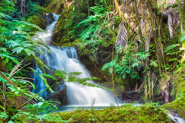 Obraz Beautiful waterfall