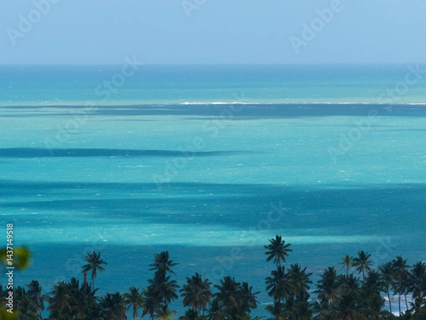 Fototapeta Beautiful turquoise ocean view with palm trees. Dominican Republic. 
