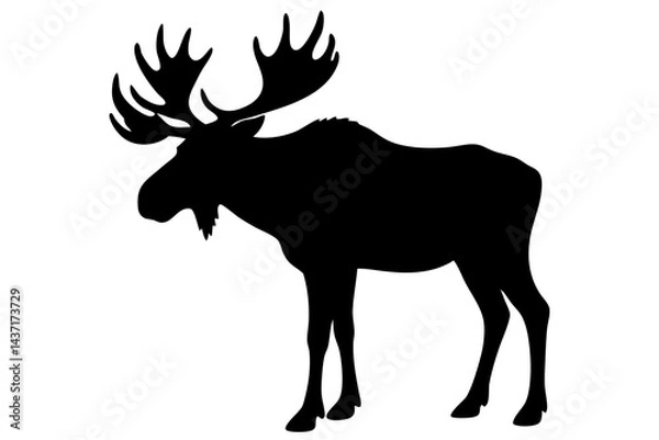 Fototapeta Black moose silhouette standing tall with large antlers on a white background, moose, animal, silhouette, black, wildlife, antler, mammal, nature, isolated, vector, illustration, wild, forest, deer