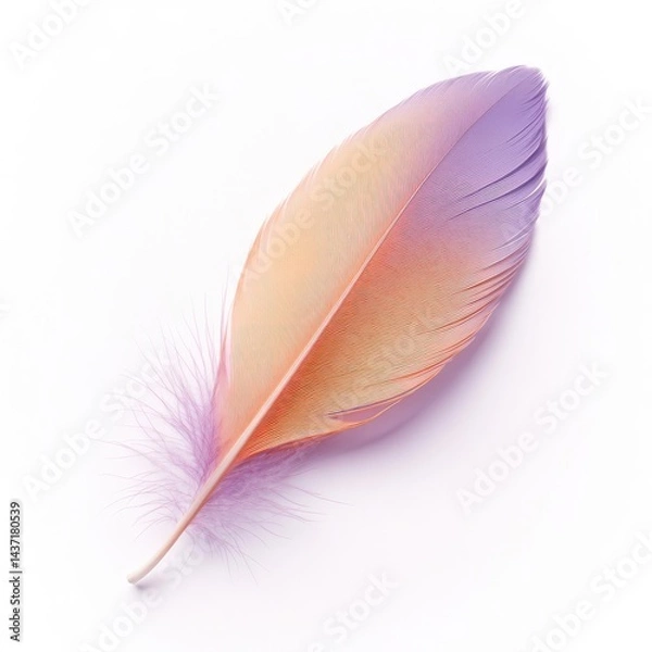 Fototapeta Light, soft pink bird feather isolated on a white background