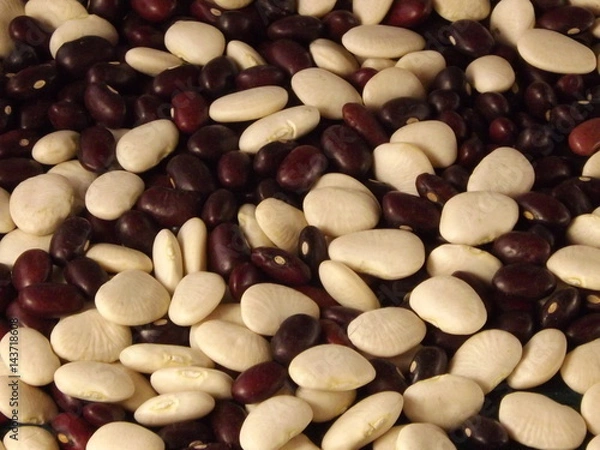 Fototapeta фасоль