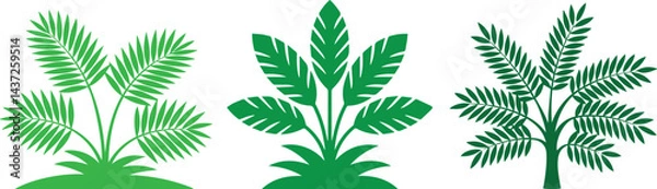 Obraz  Tropical Tree Vectors for Your Designs ,Tropical Tree Vectors , Create Vibrant Designs with Beautiful Tropical Tree Vector Art , 