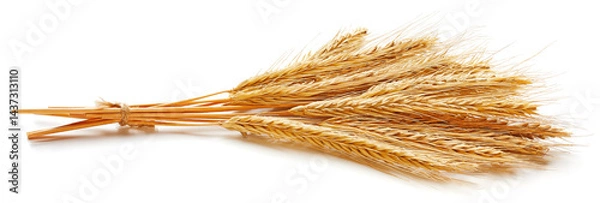 Obraz Wheat ears isolated on white background