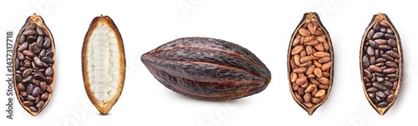 Obraz Cocoa isolated on white background